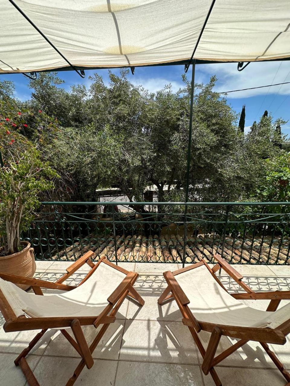 Eleni's Appartement